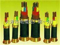 JHS-3*2.5mm²电缆 适合特殊环境下的专业选择